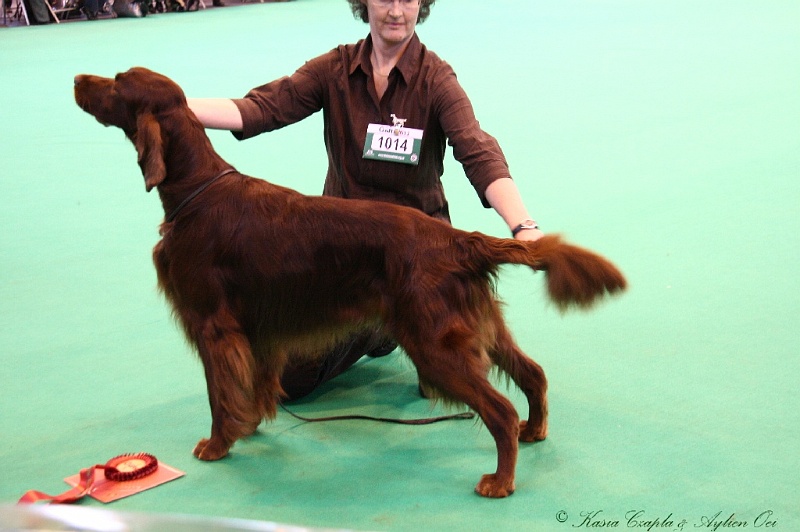 Crufts2011_2 121.jpg